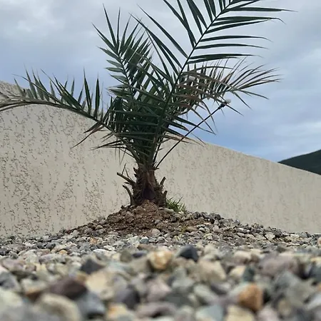 Maison T3 élégante Cap Corse - Casa Sublima Sisco