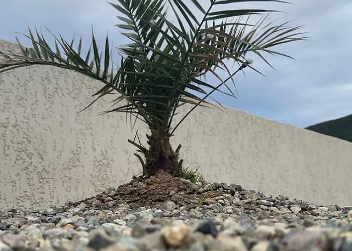 Maison T3 Elegante Cap Corse - Casa Sublima Sisco