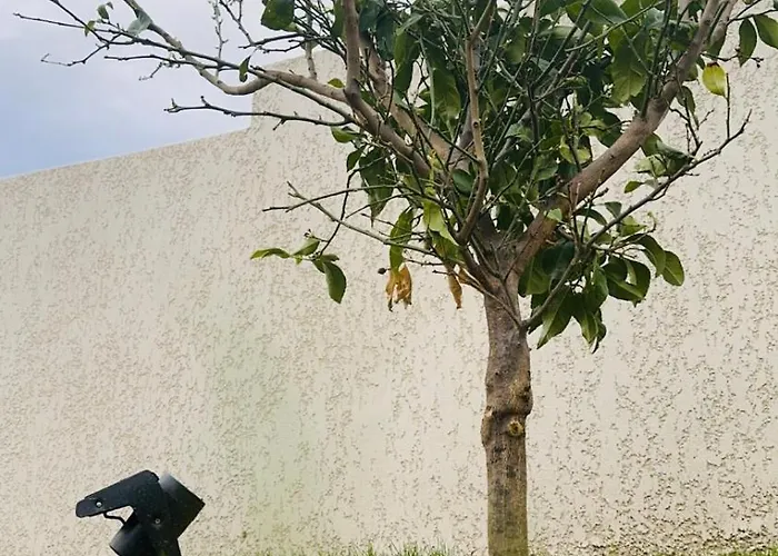 Maison T3 Elegante Cap Corse - Casa Sublima