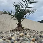 Maison T3 Elegante Cap Corse - Casa Sublima Sisco